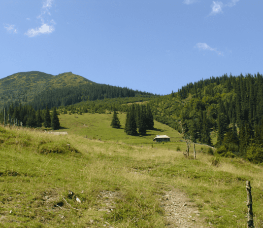 Наибольшие природоохранные территории Прикарпатья