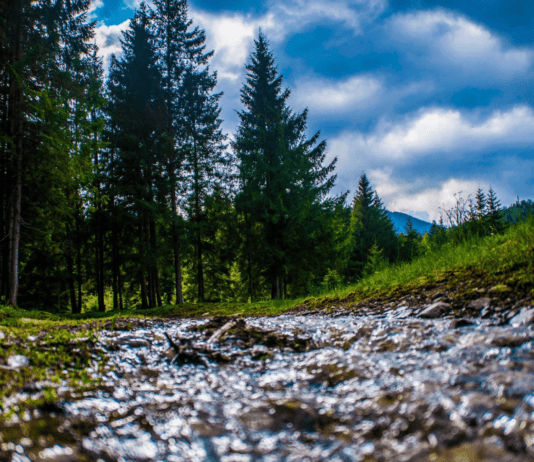 Горные секреты: как туристический гид водит людей в Карпаты