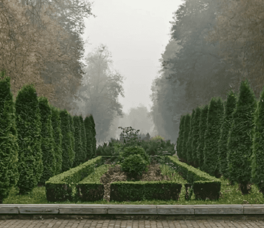 Жемчужина города: как появился парк имени Тараса Шевченко