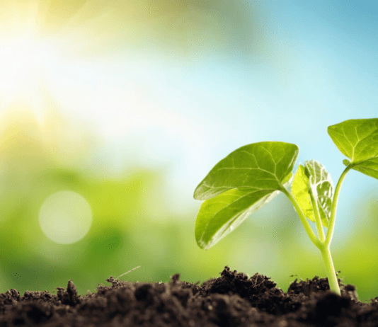 Как франковцам сделать свою жизнь экологичнее