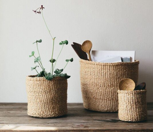 Как быть эко-осознанным? Ответы на самые распространенные вопросы и практические советы и для франковцев