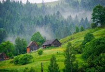В гармонии с природой: ТОП-4 колоритных поселков Прикарпатья, которые стоит посетить каждому
