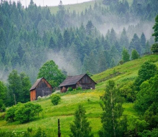 В гармонии с природой: ТОП-4 колоритных поселков Прикарпатья, которые стоит посетить каждому