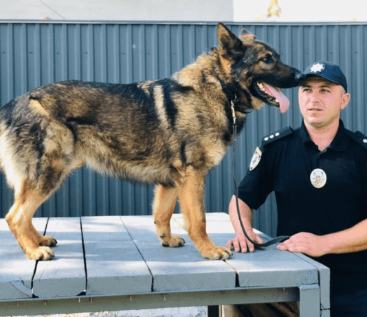 В Ивано-Франковске обновили кинологический центр