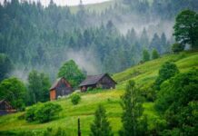 Путешествуем Украиной: Когда лучше жителям поехать в Карпаты?