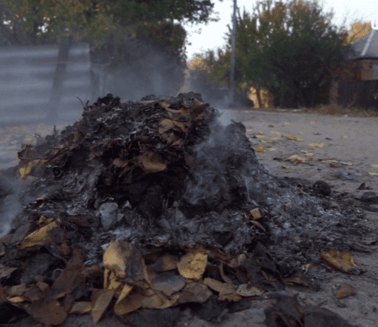 Прикарпатец отравился дымом из-за сжигания мусора. Почему так нельзя делать