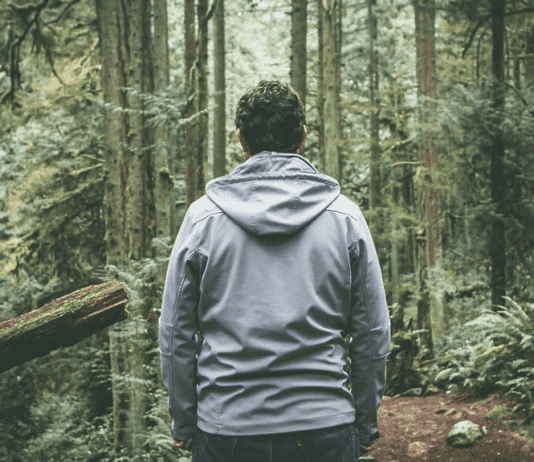 Что делать, если потерялся в лесу: советы прикарпатцам