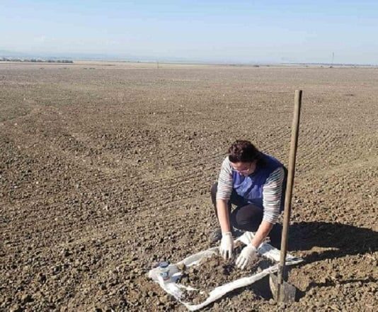 На Франковщине прогнозируют увеличение вредителей в следующем году