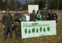 На Прикарпатье высадили около 40 тысяч лесных саженцев
