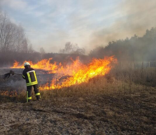 Поджигатели травы на Коломийщини: почему не стоит поджигать траву и какие последствия могут возникнуть?
