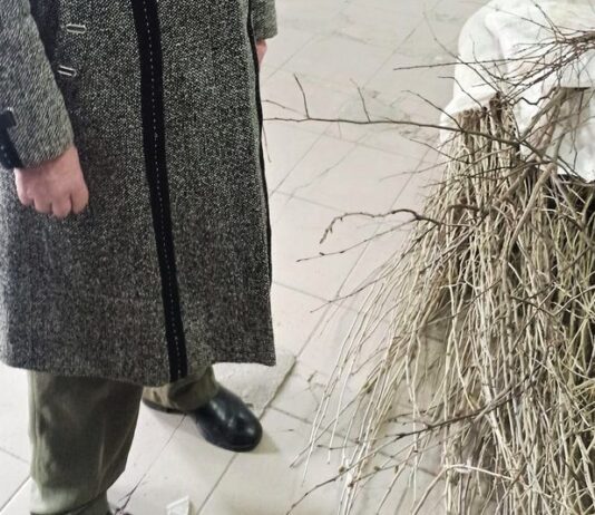 Сила в доброте и единстве: прикарпатка прислала гибискусы, яблони и вишни в Харьков