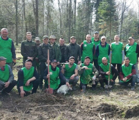 Как внутри перемещенные лица помогают коломыянам