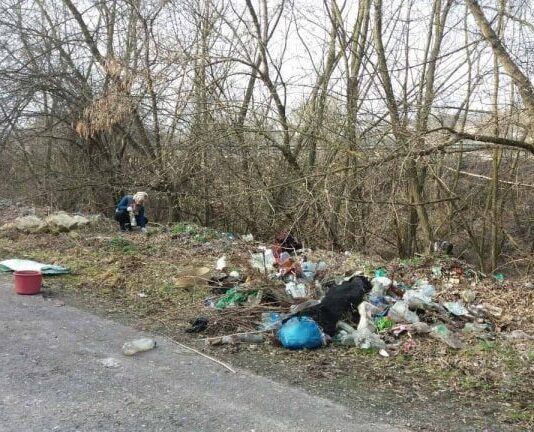 Экологические проблемы Прикарпатья