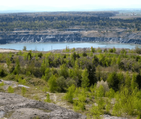 Ситуация с экологией на Прикарпатье