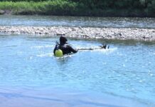 Як франківські водойми очищують від забруднення