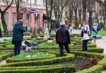 Озеленення Івано-Франківська: проблеми, чому це важливо