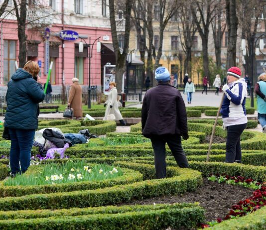Озеленение Ивано-Франковска: проблемы, почему это важно