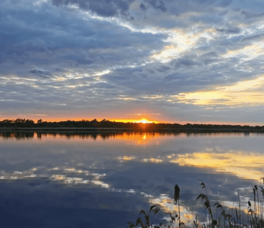 Роль водохранилищ для экологии области