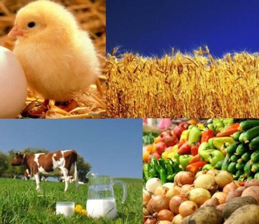 Климат и сельское хозяйство Франковщины. Программа развития на 2022-2025 годы