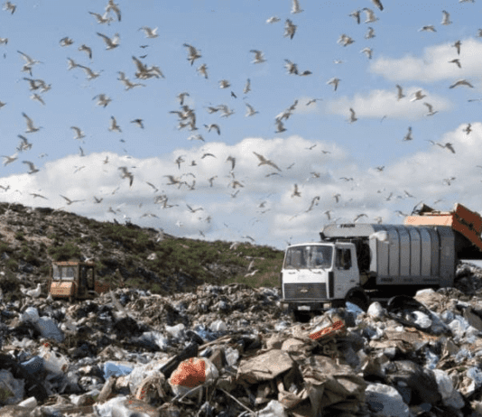 Мусорные свалки во Франковске: мнение людей и экспертов