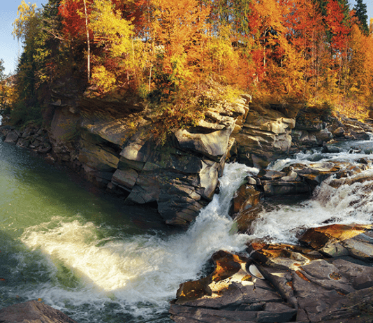 Участие франковчан в экологических акциях