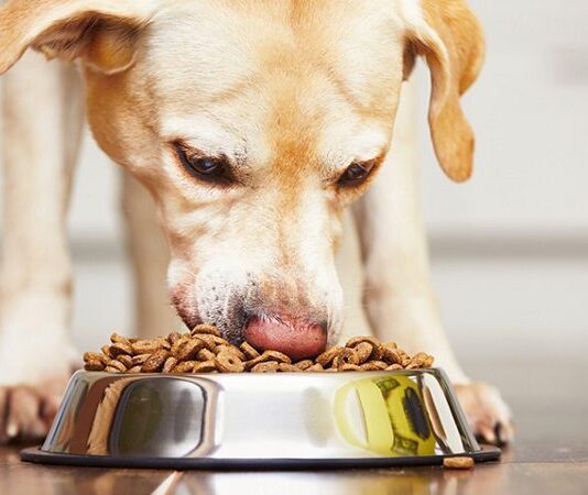 Корм для собак Optimeal: украинский завод