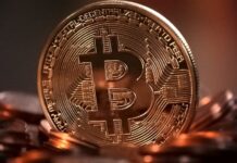 Чем криптоинвестиции отличаются от трейдинга?
