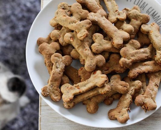 Какие бывают лакомства для собак и для чего их используют