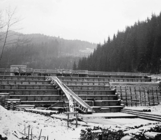 Лесосплав рекой Черемош