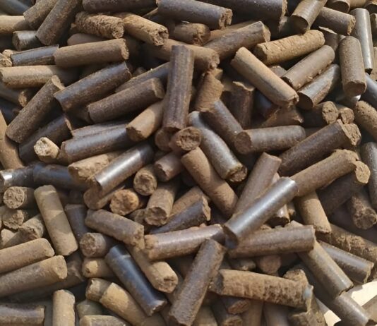 Как в Ивано-Франковске изготавливают топливные пеллеты из… кофейной гущи