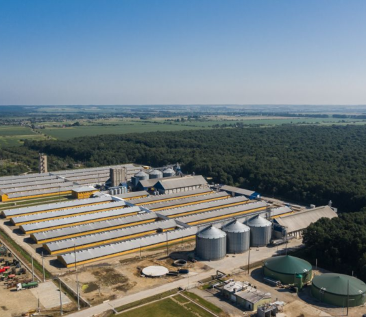 Экологический прорыв в аграрной сфере Прикарпатья: вклад компании “Гудвелли Украина”