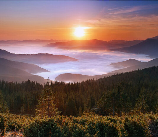 Лучшие базы отдыха в Ивано-Франковской области