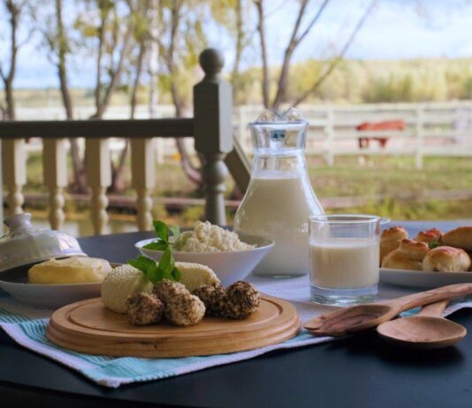 Экологические фермы Ивано-Франковской области: на пути к гармонии с природой