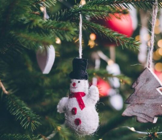 Где в Ивано-Франковске купить елку: экологично, легально и без вреда для природы?