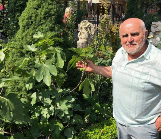 Экзотический сад, монументальные панно и деревянные коники: творческий мир Михаила Мурафы