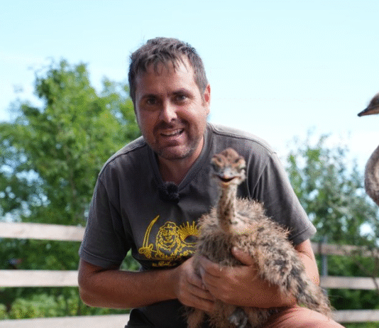 Как в Бурштыне появились страусы: история экофермы «Гнездо»