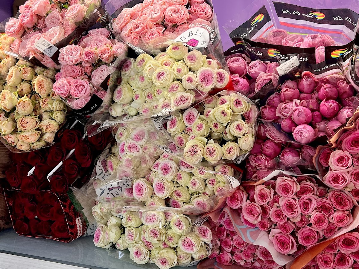Лаванда — Florist